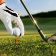Walker, Suber receive honors for ‘W’ Golf