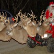 Redneck Christmas Parade is Saturday in Big Creek