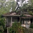 Tuesday storm causes damage around Bruce