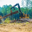 Longest-running forestry equipment show set for Sept. 21-22