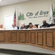 Bruce board gets go ahead to clean properties with current ordinance