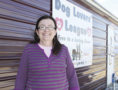Dog Lovers’ League turns 10 years old