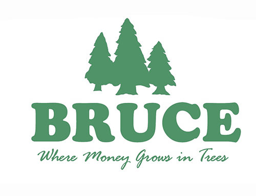 Bruce Chamber plans Christmas Parade and Museum improvements
