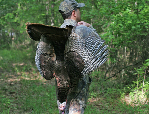 2025-2026 wild turkey season is extended through May 3