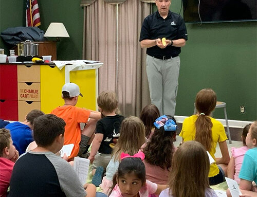 Local libraries offering loads of activities this summer