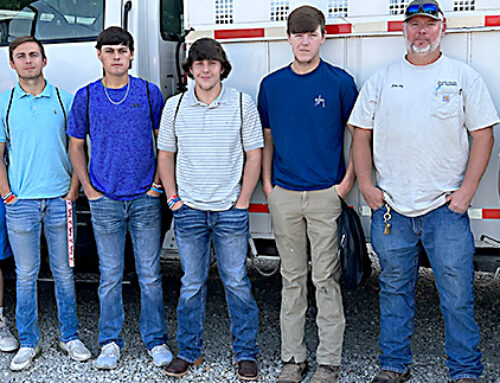 BHS seniors study college and career options