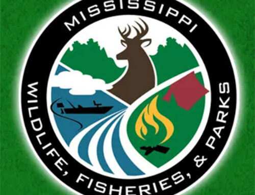 MDWFP Simplifies Fishing Regulations for Mississippi Anglers