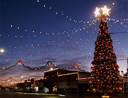 Bruce to unveil 18-foot Christmas Tree in ceremony