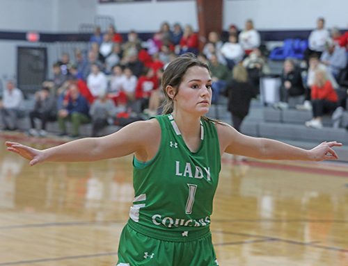 Lady Cougars eliminated at State Tournament