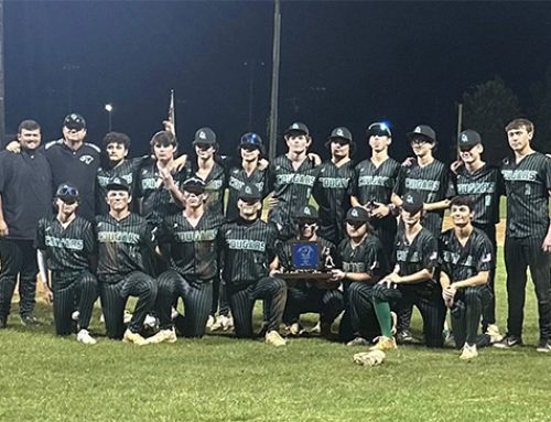 Cougars win back-and-forth game to advance to state championship