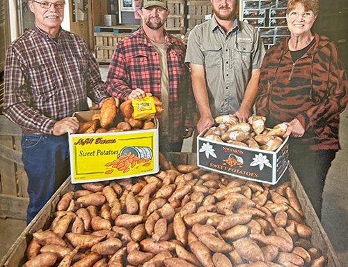 ‘Top-Notch Taters’ from N&W Farms