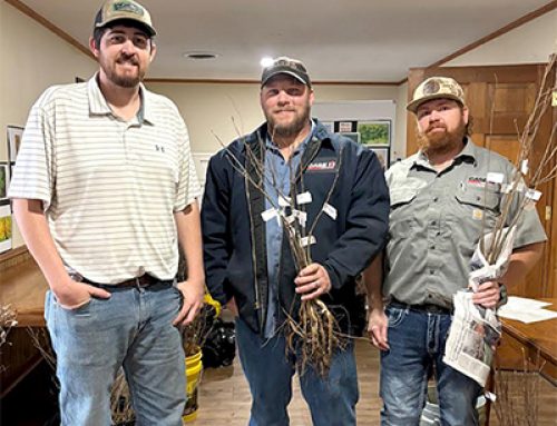 Many turnout for SWCD Tree Giveaway