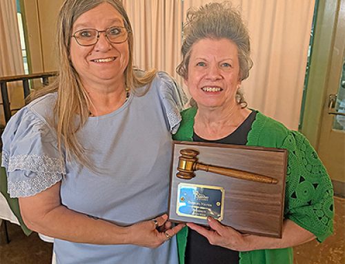 Bruce Chamber honors local citizens, businesses