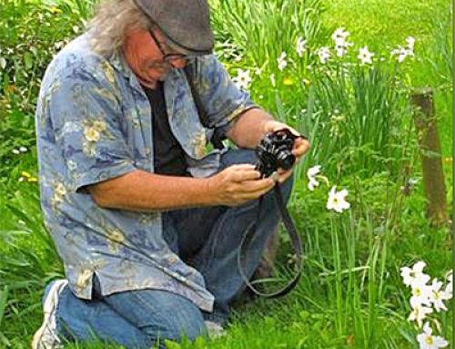 Have patience; when it comes to digging daffodils