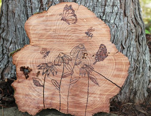 Wildlife art contest sets May 10 deadline for entries