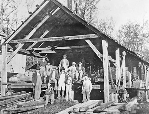 Bennett Steam Sawmill on Skuna