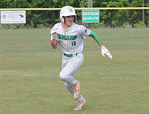 Cougars to face Desoto in next round of playoffs