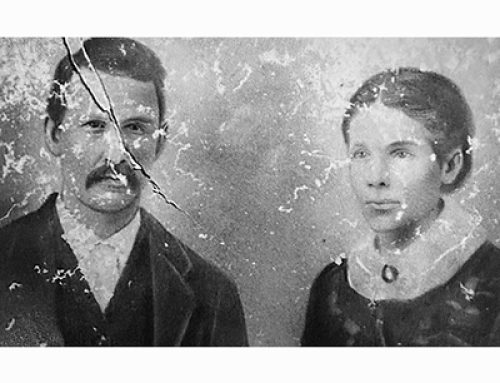 Community Spotlight – Hollis