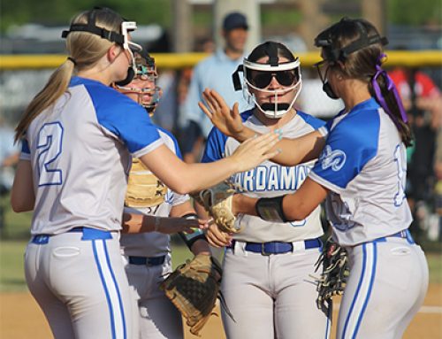 Lady Rams beat Pine Grove in extra innings to sweep playoff series
