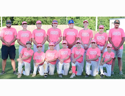 Bruce Diamond Dawgs enjoy big season