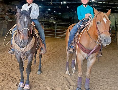 Moorman, Criddle shine at Northeast District 4-H Horse Show