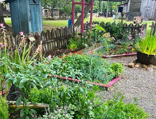 Our society has been influenced over the centuries by gardening