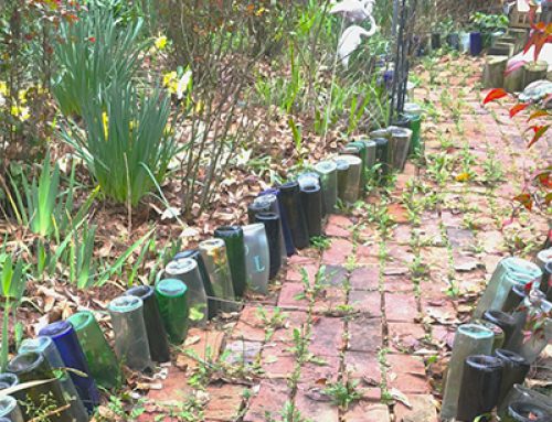 Many different kind of paths can fit your garden