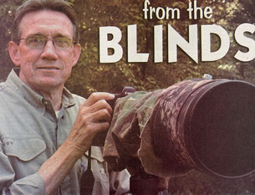 CCJ Archive: Steve Gulledge’s Photography Grows Into More Than A Hobby