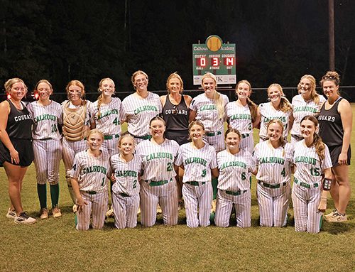 Lady Cougars building toward big playoff run
