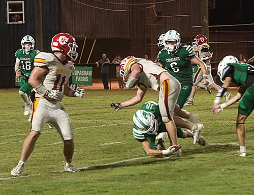 Cougars, Wildcats both suffer losses Friday night