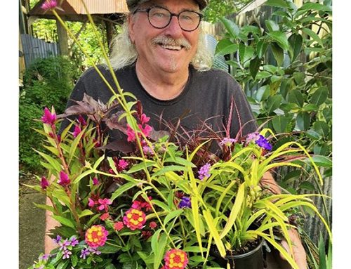 Gestalt Gardener: Your plants will work for you if you work for them