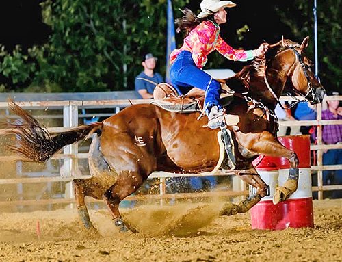 Lizzy – Vardaman’s Edmondson chasing rodeo dreams at Northwest