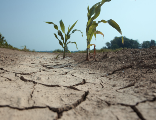 Robert Earl’s News-Notes: September was second hottest on record with lowest rainfall