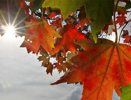 October should feel different
