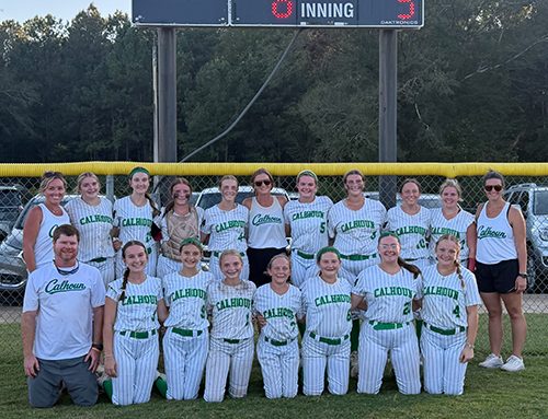 Lady Cougars clinch berth in state championship series